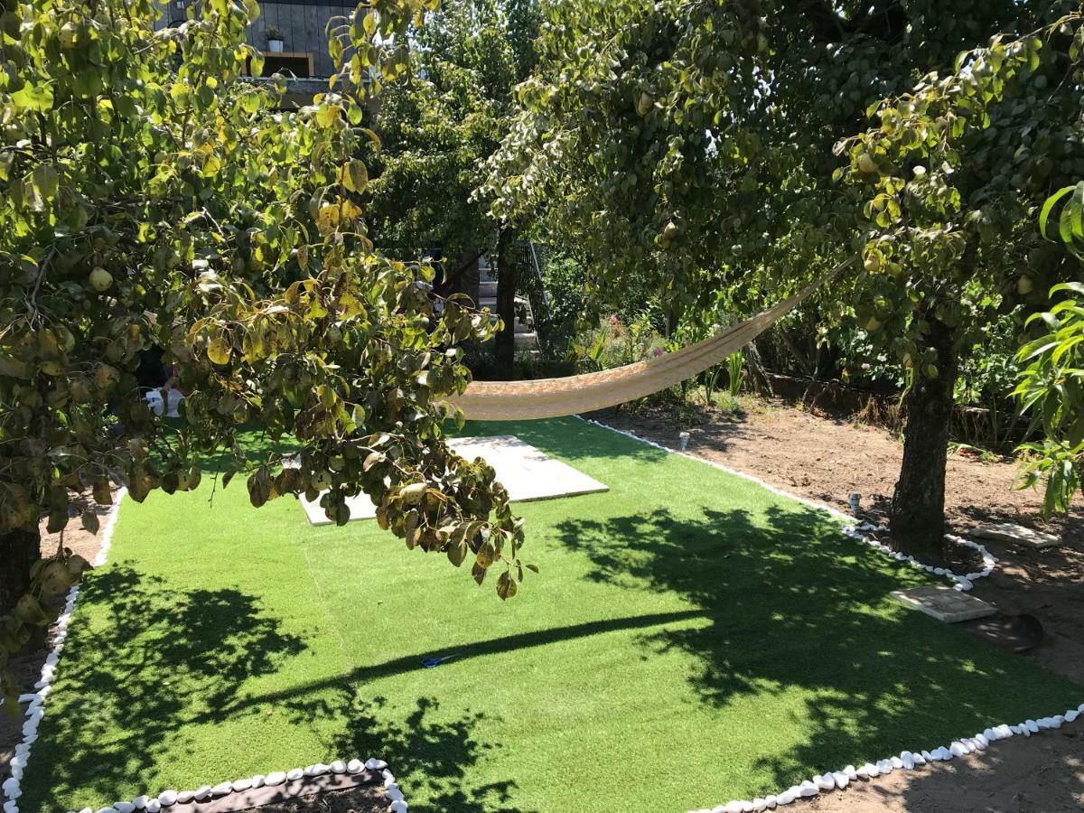 Dds-Dominio Das Sem&Ntes Vouzela Exterior foto